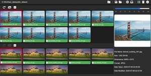 Photo album organization